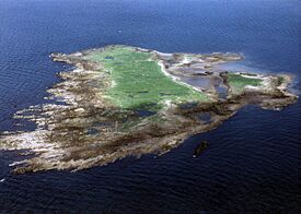HorseIsleNearArdrossan(StuartMcMahon)Jun2004.jpg
