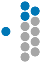 Iran Guardian Council 2024.svg