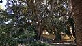 Jardín de la Finca Casa de Ferraz 02
