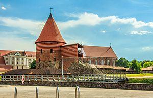 Archivo:Kaunas castle 20160603