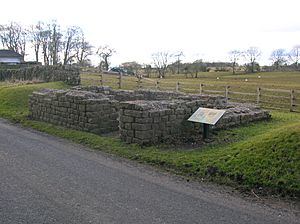 Archivo:Leahill Turret 51B, looking East. Hadrian's Wall