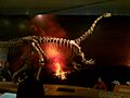 Massospondylus Ultimate Dinosaurs