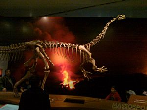 Archivo:Massospondylus Ultimate Dinosaurs