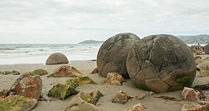 Archivo:Moeraki Boulders-Nueva Zelanda04