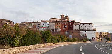 Montón, Zaragoza, España, 2014-01-08, DD 11