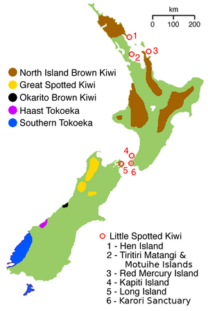 Archivo:NZ-kiwimap