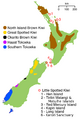 NZ-kiwimap