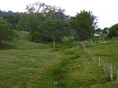 Nascente do rio Pardo - em Pardinho (3) REFON