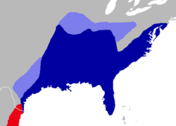Distribución actual (azul) y antigua (azul claro) de Oryzomys palustris en el sudeste de Estados Unidos. También se muestra (en rojo) una pequeña parte de la distribución de Oryzomys couesi.