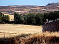 Paisaje-de-tablada-de-villadiego-desde-la-iglesia