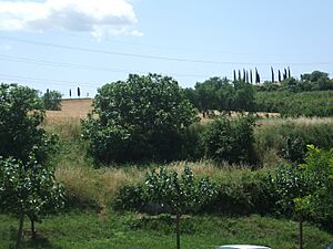 Archivo:Parc de Ca n'Oriol