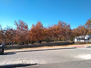 Archivo:Parque Picadueñas otoño