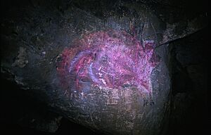 Archivo:Pintura rupestre cueva del reguerillo