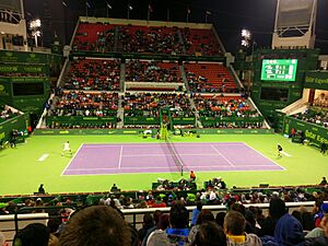 Archivo:Qatar open 2017 SF, Murray vs Berdych1183