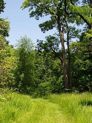 Rutgers Gardens - general view.JPG