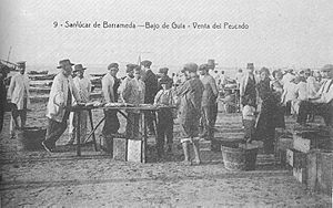 Archivo:Sanlucar barrameda venta pescado bajo guia
