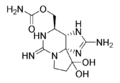 Saxitoxin structure