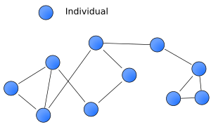 Archivo:Social-network