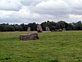 Somerset sd stone circle 06