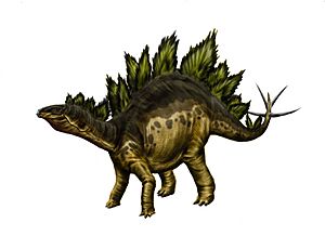 Archivo:Stegosaurus armatus by durbed