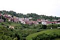 Tineo