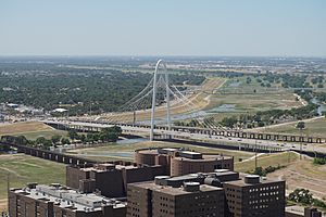 Archivo:View of Margaret Hunt Hill Bridge from Reunion Tower August 2015 23