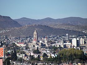 Vista de Saltillo Centro desde Museo del Desierto de Saltillo - panoramio (1).jpg