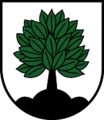 Wappen at elbigenalp