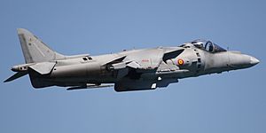 Archivo:AV-8B Harrier II Plus spanish navy (cropped)