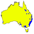 Angophora costata DistMap