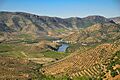 Arribes del Águeda, España y Portugal