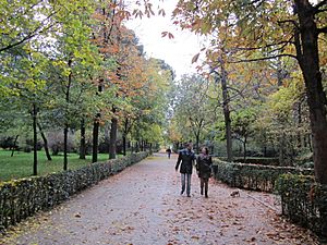 Archivo:Autumn walk, Madrid's Park Retiro (6382404601)