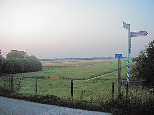 Archivo:Benthuizen dijk polder