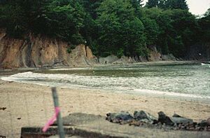 Archivo:Bigfoot in Oregon