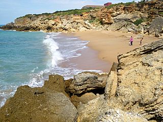 Cala de Cabo Roche.jpg
