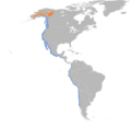 Calidris virgata map