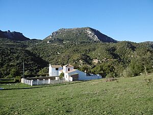 Archivo:Casa Rural en Ubrique dentro del Parque Natural Sierra de Grazalema