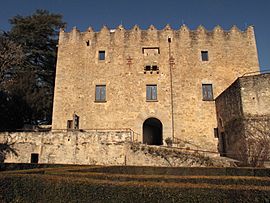 Castell de Montesquiu.jpg