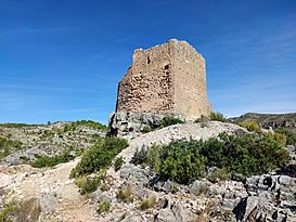 Castillo de Millares 05.jpg