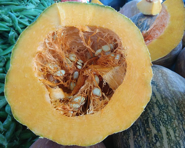 Cross section of pumpkin