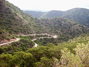 Archivo:Cuchi Corral camino bosque Quebracho colorado