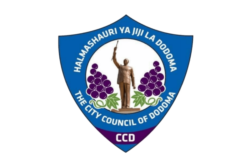 Dodoma City Flag