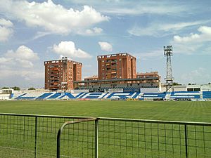 Archivo:Estadio linares