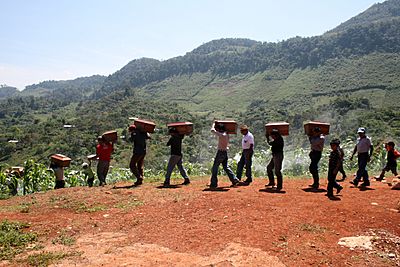Archivo:Exhumation in the ixil triangle in Guatemala