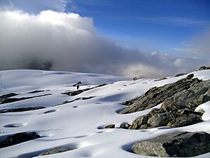 Archivo:Glacial Pico Humboldt 4