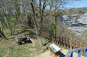Archivo:Goiuriko ur-jauzia. Cascada de Goiuri. - 14572754876