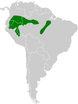 Distribución geográfica del hormiguero cejiamarillo.