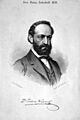 Julius Wiesner Litho