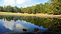 Lac Noir - Foret d'Akfadou (Parc National de Bejaia)