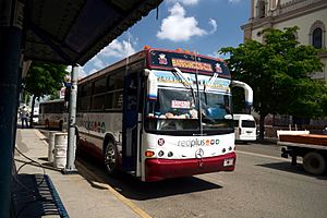Archivo:Local bus line cln